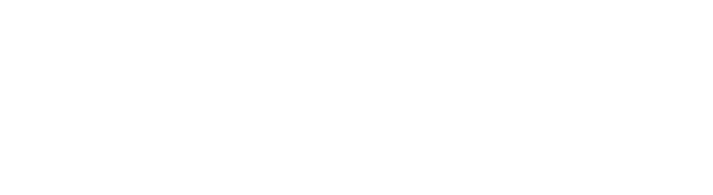 Dragon Vascular